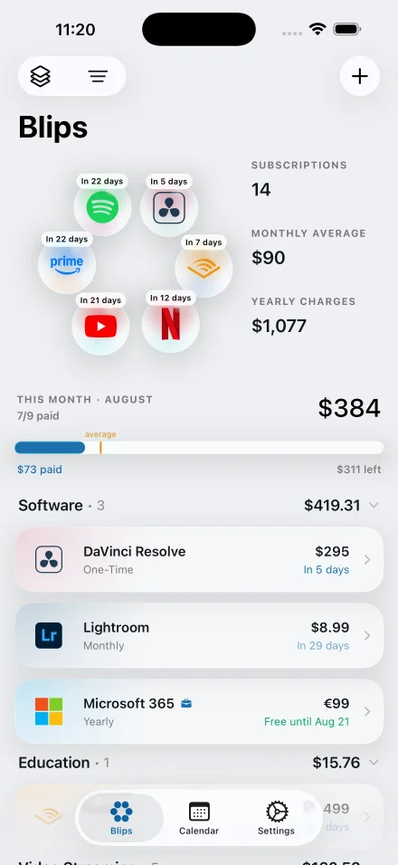 A Blips subscription showing the full price alongside your own share of it